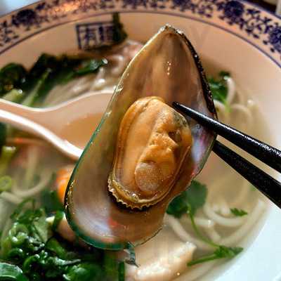 Go Noodle House Australia