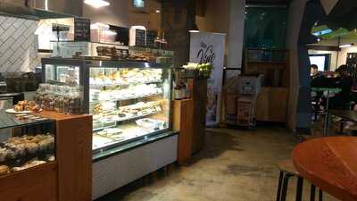 The Vine Coffee Roasters