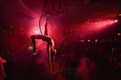 The Birdcage On York