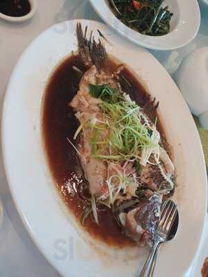 Waterfront Fish Market Restaurant