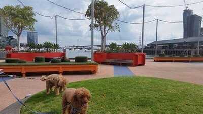 Hortus X Seven Seeds