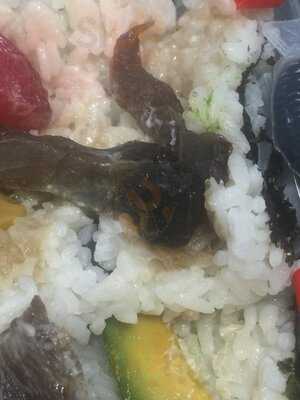 Kanda Sushi Noodle Bar