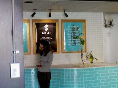 Scales Fish & Chippery