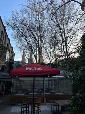 Mr. Tod Cafe