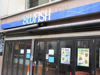 Blufish
