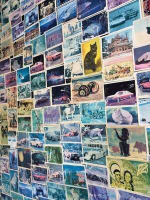 The Little Queen Cafe