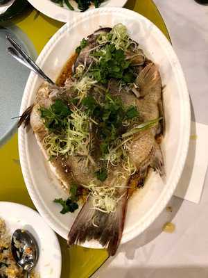 Silver Ming Chinese Restaurant