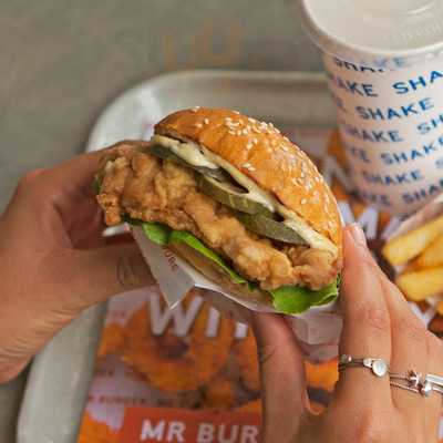 Mr Burger