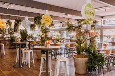 The Field At Easts Rugby