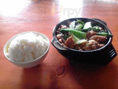 Yang's Braised Chicken