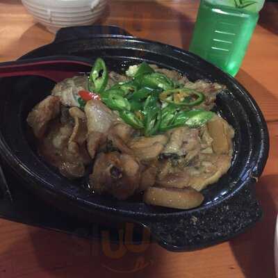 Yang's Braised Chicken