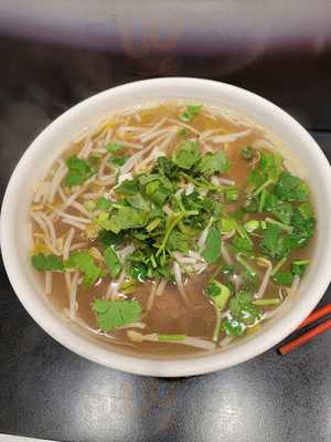 Delicious Asian Cuisine And Vietnamese Noodles