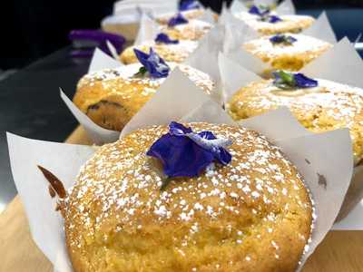 Cafenatics Church Lane