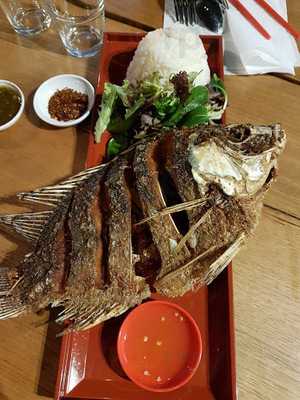 Maakin Flinders Lane