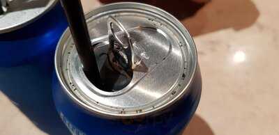 The Darling Pizzeria