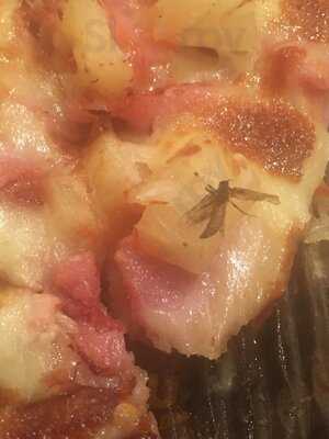 Supreme Gourmet Pizza Bar