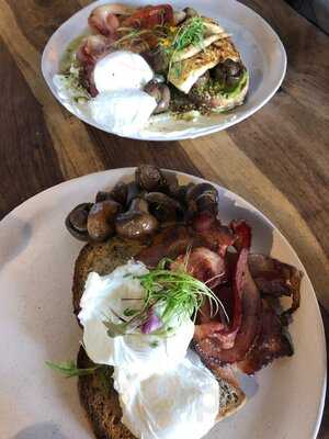 Glee Coffee Roasters