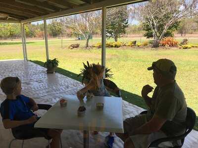 Emerald Creek Ice Creamery