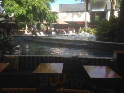 The Palms Mediterranean Bar And Grill