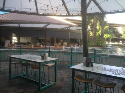 The Palms Mediterranean Bar And Grill