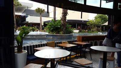 The Palms Mediterranean Bar And Grill