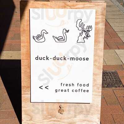 Duck Duck Moose