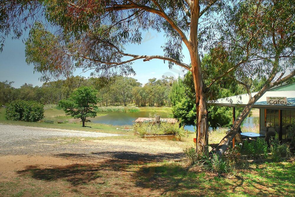 Allambie Orchard Cafe