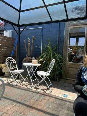 Sco & Co. And The Lifebuoy Cafe