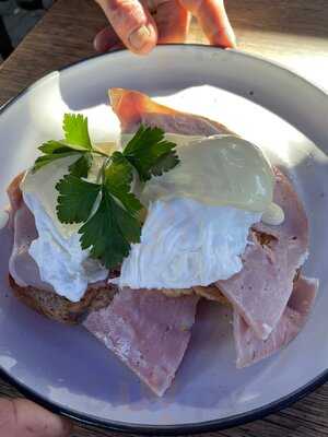 Sco & Co. And The Lifebuoy Cafe