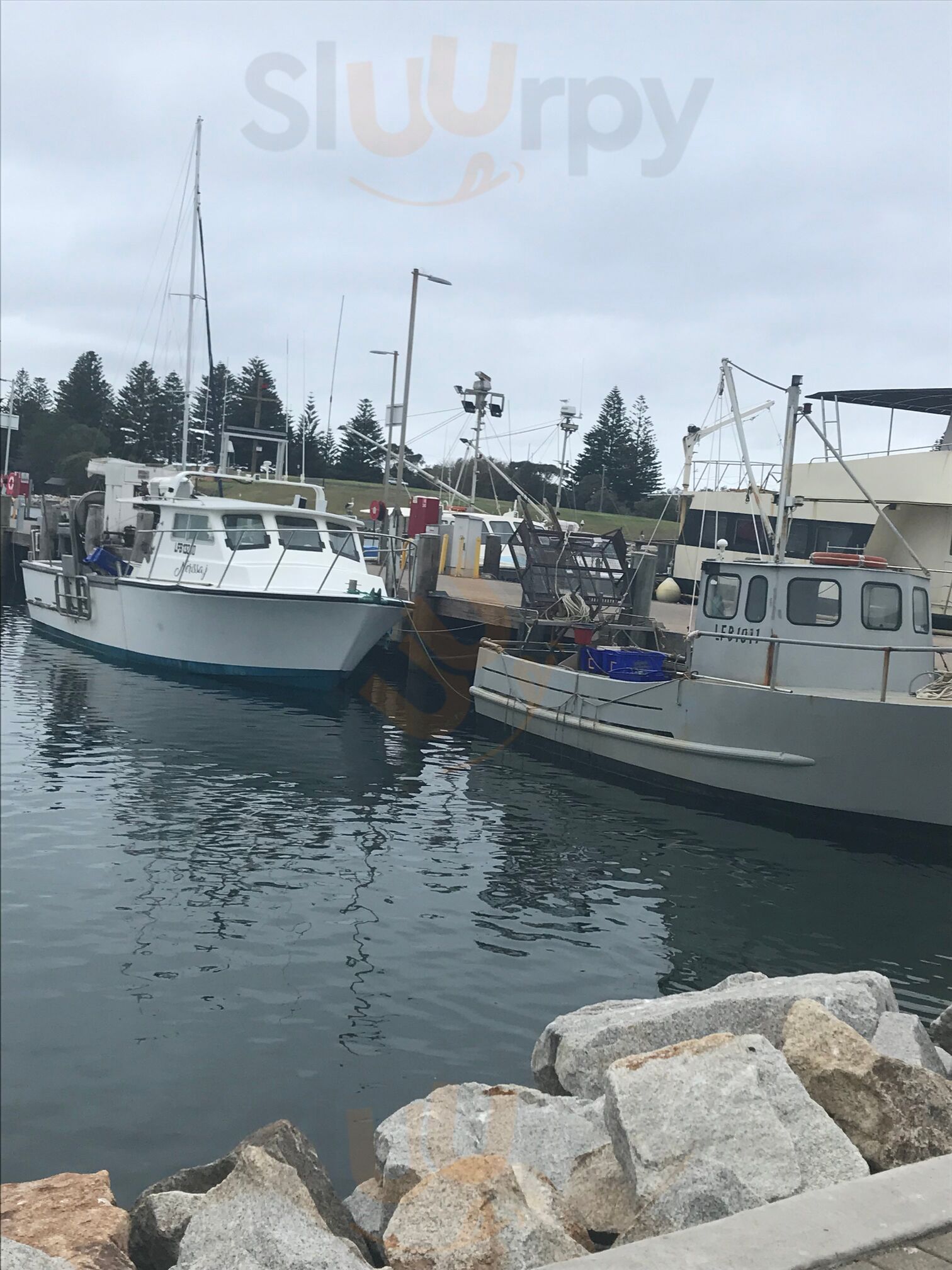 Bermagui Gelati Clinic