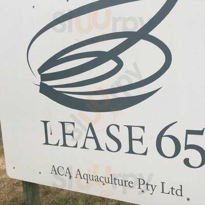Lease 65