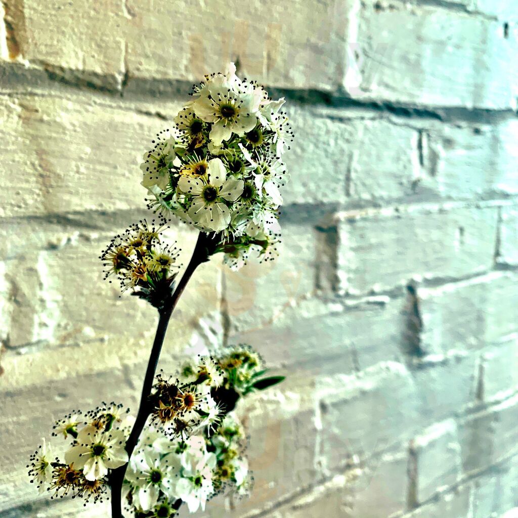 Dusty Road Coffee Roasters