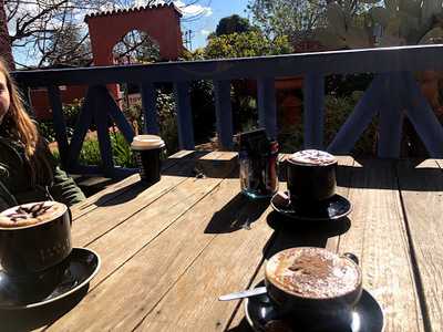 Cactus Cafe And Gallery