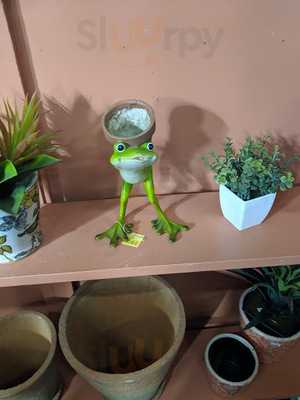 Cactus Cafe And Gallery