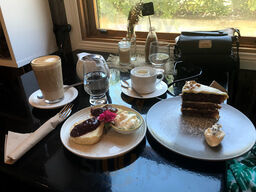 Forage On The Foreshore