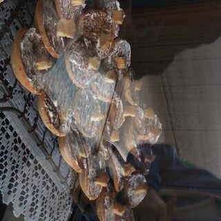Mckeoughs Cake Shop