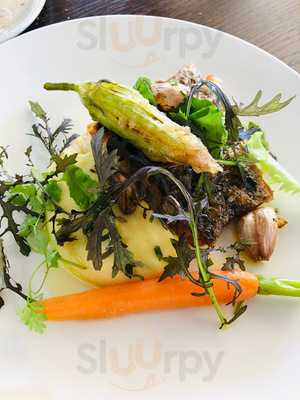 Amazing Zucchini Bros