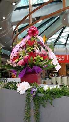 Palette Darling Harbour