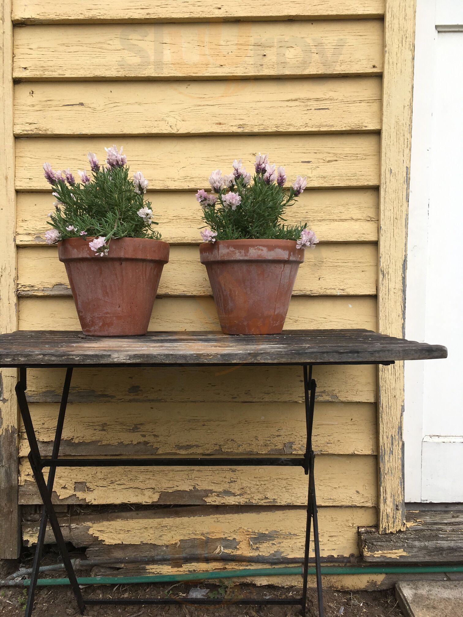 Mother Goose Cafe And Pantry