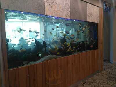 Riverstone Schofields Memorial Club