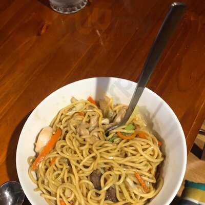 Tasty Noodle Labrador 4215