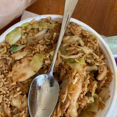 Tasty Noodle Labrador 4215