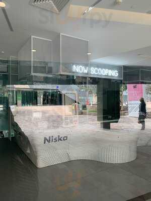 Niska Robotic Ice Cream Bar