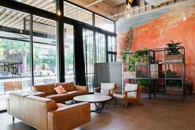 Malt Shovel Taphouse