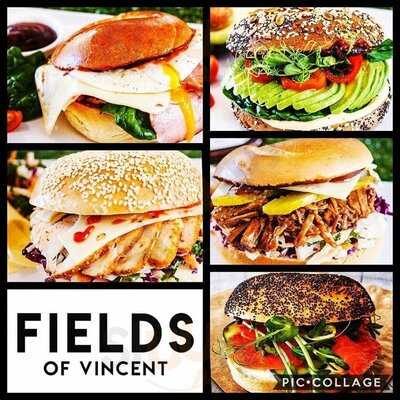 Fields Of Vincent