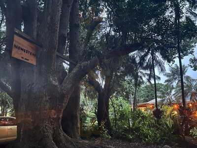 The Homestead Restaurant