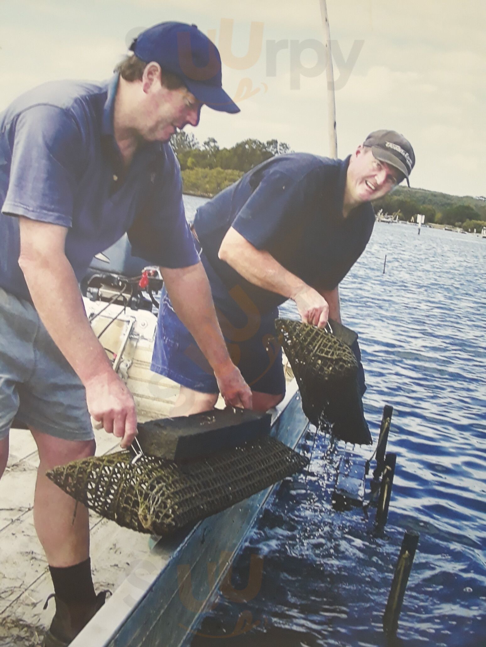 Shoalhaven Oyster Service