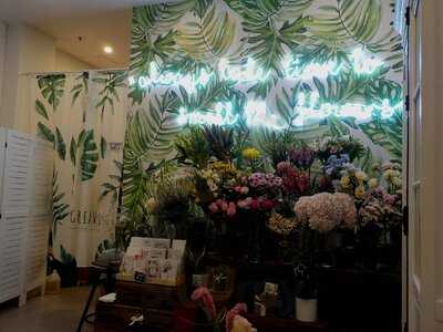 Calla & Gardenia Florist