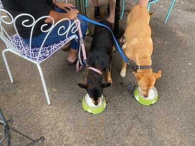 The Weeping Mulberry