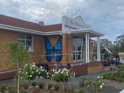 The Weeping Mulberry